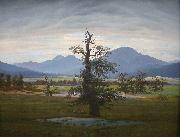 Caspar David Friedrich Landscape with Solitary Tree oil painting on canvas